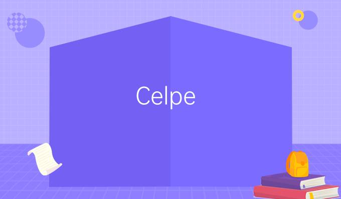 Celpe-Bras：獨(dú)特的巴葡托福考試