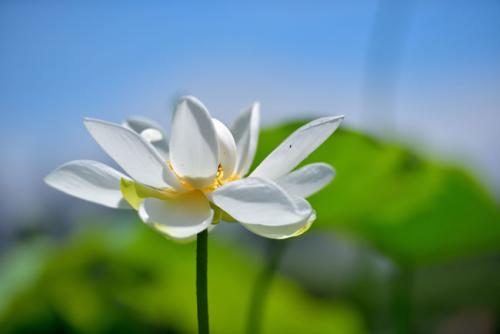 西語基礎(chǔ)學(xué)習(xí):各個(gè)國(guó)家西班牙語表達(dá)