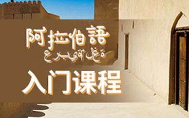 學(xué)習(xí)阿拉伯好嗎?有前途么？