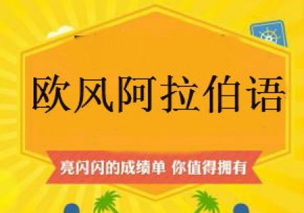 學(xué)阿拉伯語(yǔ)零基礎(chǔ)入門書(shū)籍推薦