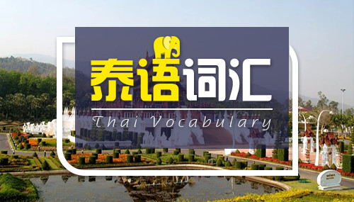 泰語中的???和???、????和????、????和????的用法和區(qū)別
